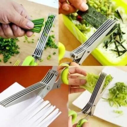 5 Blades Kitchen Multipurpose Scissor